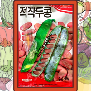 작두콩씨앗 10립 적작두콩씨앗 콩씨앗 큰콩씨앗, 1개