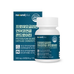 프로테오글리칸 연어코연골 추출물 콘드로이친 황산 여성 노인 효능 60정 식약청 HACCP 인증, 1개