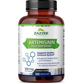 Zazzee Artemisinin 재지 아르테미시닌 100mg 120정