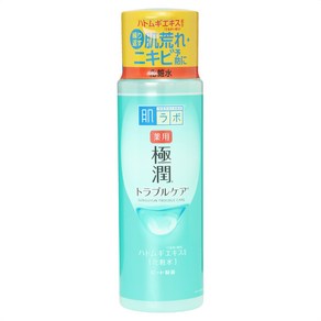 하다라보 고쿠쥰 스킨 컨디셔너 화장수, 1개, 170ml