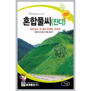 혼합 풀씨앗 1kg 경사면 서양잔디 풀씨 법면 비탈 토사방지 마당 공사, 1개