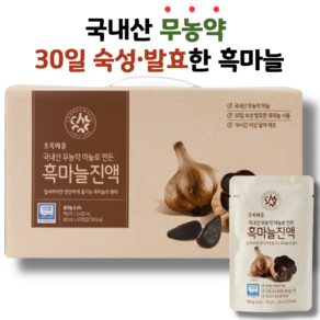 국내산 무농약 통마늘을 엄선 발효 숙성한 흑마늘 진액 초록마을, 30개, 80ml