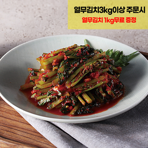 찬우물김치 열무김치, 10kg, 1개