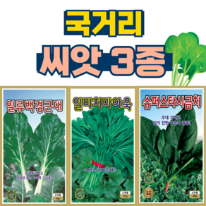 국거리 씨앗 3종 근대씨앗+아욱씨앗+시금치씨앗 채소 씨앗, 1세트