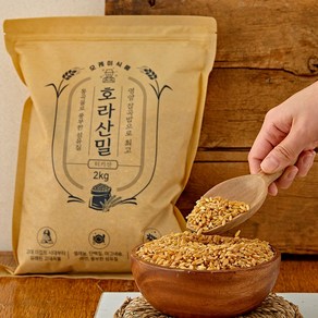 호라산밀 영양 곡물 카뮤트, 1개, 2KG