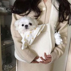 강아지 고양이 슬링백 산책가방 포대기 반려견 숄더백 이동가방, 1개