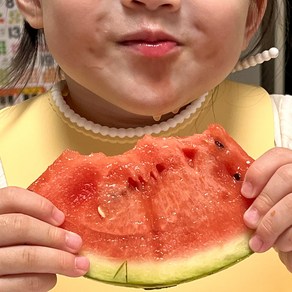 [당도선별] 수박 정품 하우스수박 프리미엄, 1개, 하우스 정품 수박 3-4kg