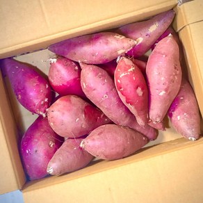 파머스넷 세척 무농약 꿀고구마 정품, 10kg 대 (300g이상), 1개