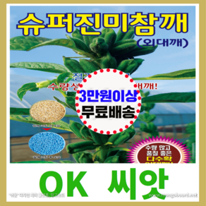 [OK씨앗] [슈퍼진미참깨] 참깨씨앗 종자(오케이씨앗), 1개