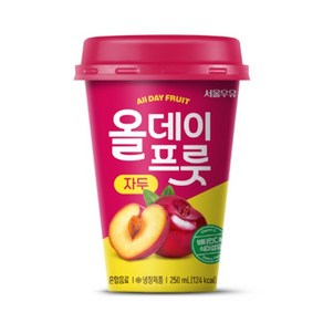 서울우유 올데이프룻 자두 250ml, 40개