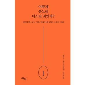 어떻게 분노를 다스릴 것인가?:평정심을 찾고 싶은 현대인을 위한 고대의 지혜, 아날로그(글담), 세네카제임스 롬