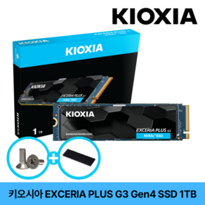 키오시아 EXCERIA PLUS G3 M.2 NVMe SSD 1TB + NVMe방열판