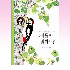 새들아 뭐하니?:1월부터 12월까지 산책길에 만난 열두 새 이야기, 비룡소