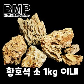 다팜아쿠아 BMP 수조 레이아웃 황호석 소 1kg 미만 (사이즈 랜덤), 1개