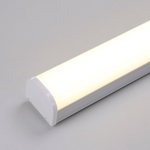 비츠온 LED 주차장등 60W 1200mm 멀티등 일자등 레이스웨이, 주광색, 1개