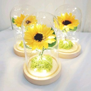 효정Flowe 비누꽃 해바라기 한송이 led 무드등 유리돔, 모스있음