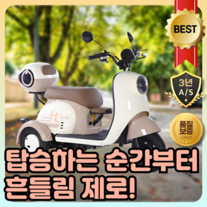 센트로 소프트라인 600 삼륜 오토바이 전기 바이크 배달 미니 삼발이 사발이 스쿠터, 48V 20A, 납산 배터리