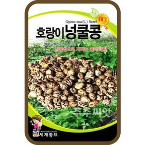 주주씨앗 호랑이넝쿨콩 30g / 넝쿨성 콩 씨앗 종자 콩재배 텃밭가꾸기 채소심기