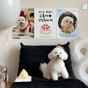 파티아일랜드 A3 자율문구 케이크 포토 포스터 3세트 생일파티용품 가랜드, A3 자율문구 케이크 포토포스터 3세트