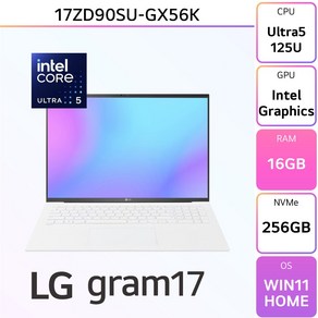 LG전자 2024 그램17 17ZD90SU-GX56K, WIN11 Home, 16GB, 256GB, 스노우화이트