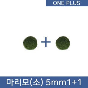 [원플러스 특가] 마리모 단품 소 5mm (1+1)