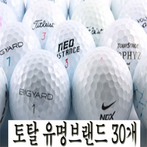 [(주)더스카이] 토탈 유명브랜드 특가형 로스트볼 30알, 1개, 화이트, 30개입