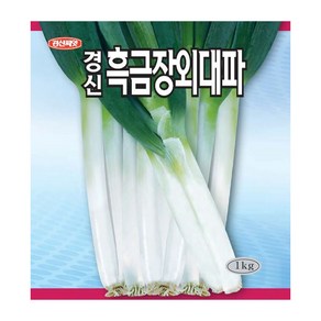 경신종묘 대파씨앗 흑금장외대파 1kg, 1개