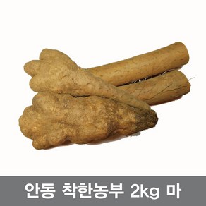 안동참마 알뜰 실속5키로 (크기크고 깎기편한상품), 1개, 참마알뜰2kg