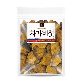 퓨어영 차가버섯 차가버섯분말 차가버섯추출분말, 500g, 1개