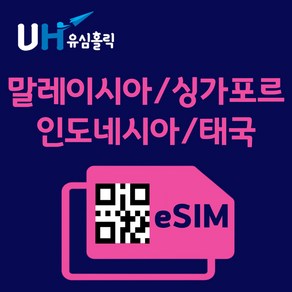 유심홀릭 말레이시아 싱가포르 인도네시아 태국 이심 eSIM 데이터 무제한 FM e심