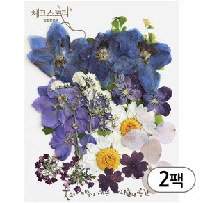 체크스토리 압화 컬러믹스 꽃모음 압화공예 2팩, 진블루