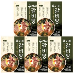 고향식품 옛맛 우거지갈비탕 600g x 5개