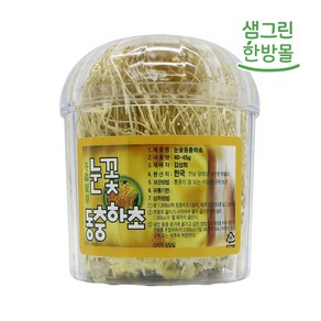 국내산 A급 눈꽃 동충하초 1통 (40~45g)