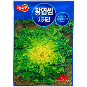 광엽쌈 치커리씨앗 4g, 1개