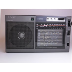 SONY FMAM라디오 NIKKEI 휴대용 라디오 ICF-EX5MK2