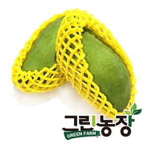 그린농장 태국 그린망고(geen fam thailand geen mango), 1박스, 1kg(3-4과)