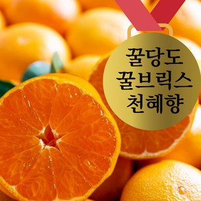 [제주산지직송] 꿀당도 천혜향 가정용 벌크박스 3kg 5kg 10kg 서귀포산지직송, 1개, 천혜향 가정용 중소과 3키로