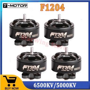 T-MOTOR F1204 6500KV 2-3S 초경량 마이크로 브러시리스 모터 2.5 인치 3 Toothpick Cinewhoop RC FPV 레이, 1개, 03 1PCS 5000KV