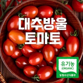 산지직송 유기인증 유기농 대추방울토마토