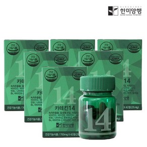 녹차다이어트 녹차 카테킨 14 영양제 700mg42정6박스, 6개, 42정