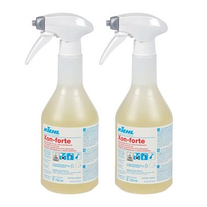 청소용품다몰 키엘 엑손포르테 주방 기름때 탄때 제거제, 2개, 750ml