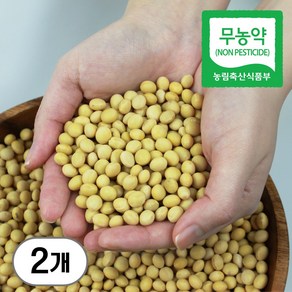 파인드네이처 국산 무농약 햇 잡곡 백태, 2개, 1kg