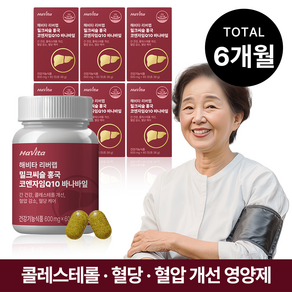 해비타 밀크씨슬 홍국 코엔자임Q10 바나바잎 간건강 콜레스테롤 혈압 혈당케어 영양제, 60정, 6박스