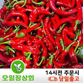 ( 오일장 상회) 국내산 홍고추 못난이 홍초 1kg 2kg 10kg, 1개, 상등급1kg내외