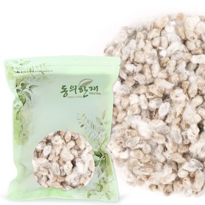 동의한재 국산 목화씨 목화씨앗, 300g, 1개