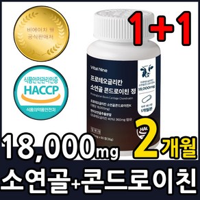 비에이치웰 프로테오글리칸 소연골 콘드로이친 + 알약통, 2개, 60정