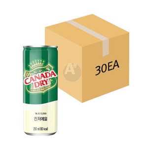 캐나다드라이 진저에일 250ml 30개입 (1BOX) 탄산수 에이드 하이볼 칵테일, 30개