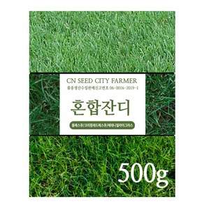 잔디씨앗 서양잔디씨 양잔듸 골프장 정원 공원용 500g