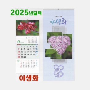 2025 달력 길위에사랑1-24 야생화달력 들꽃 꽃 커플 달력 디자인 포토캘린더, 1개, 345x 780 3단벽걸이