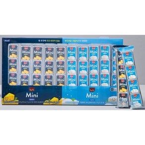 코스트코 냉장 상하치즈 칼슘체다 크림치즈 미니 12g x 48개 간식 안주 대용량 치즈, 576g, 1개